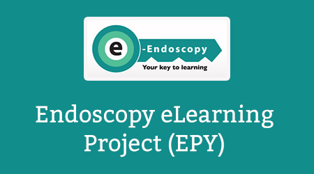 Endoscopy eLearning Project (EPY)