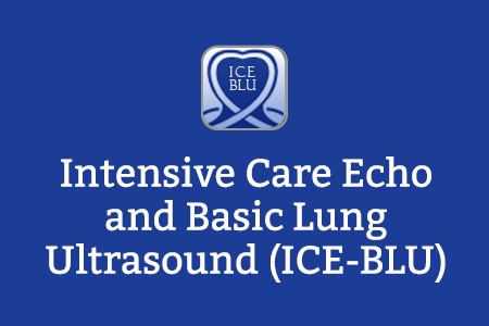 Intensive Care Echo and Basic Lung Ultrasound (ICE-BLU)