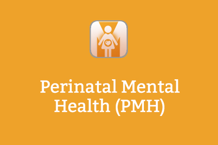 Perinatal Mental Health (PMH)