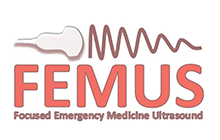 Focused Emergency Medicine Ultrasound