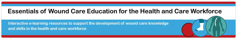 Essentials of Wound Care Education for the Health and Care Workforce